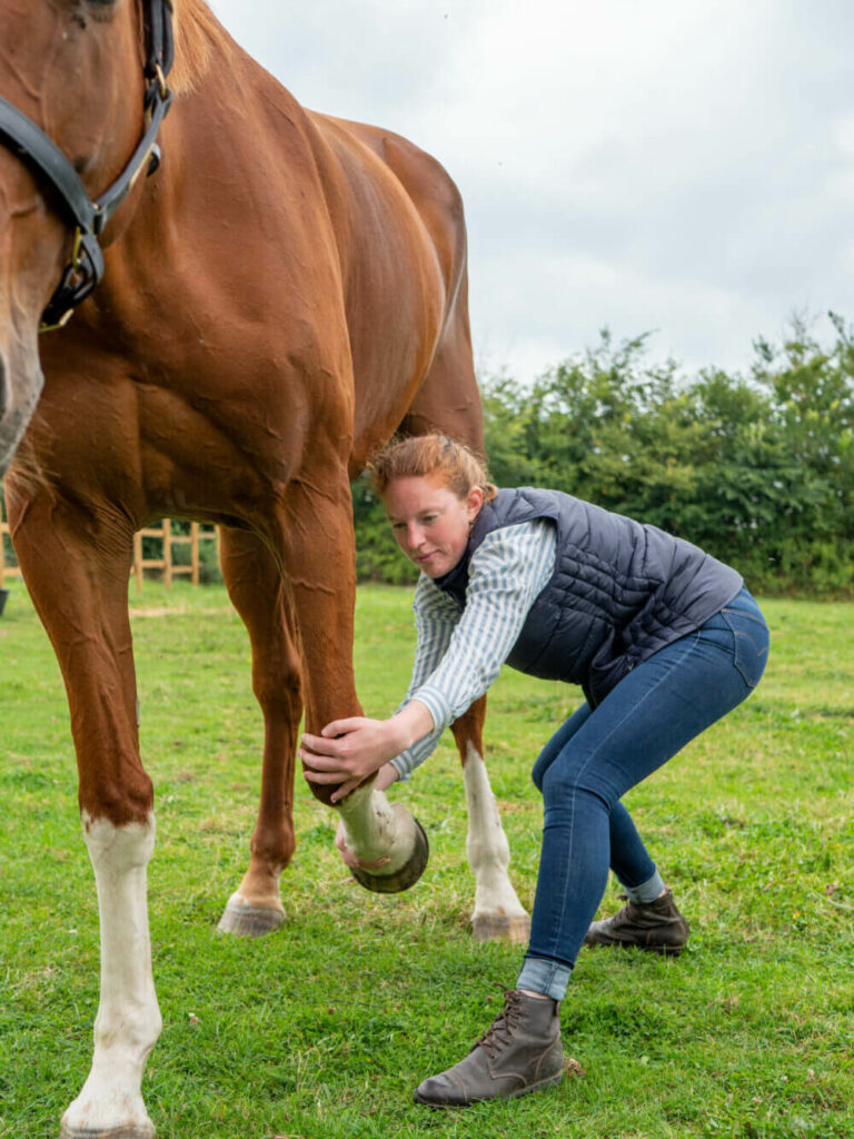 Florine Grard fait un mouvement lors d'une séance d'ostéopathe sur animaux sur un cheval