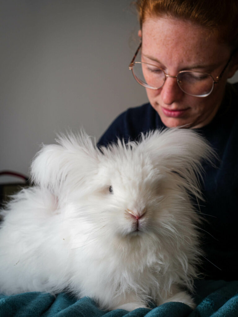 florine grard en tant qu'ostéopathe et un lapin en séance d'ostéopathie pour animaux